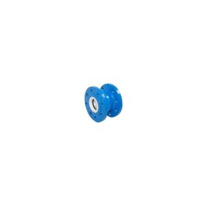 125mm Cast Iron Single Non Return Valve