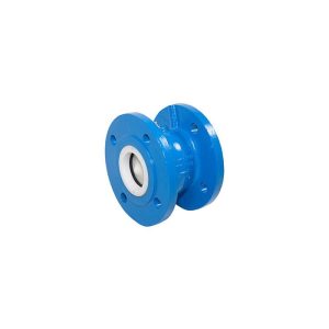 50mm Cast Iron Single Non Return Valve