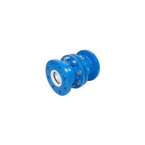 100mm Cast Iron Double Non Return Valve