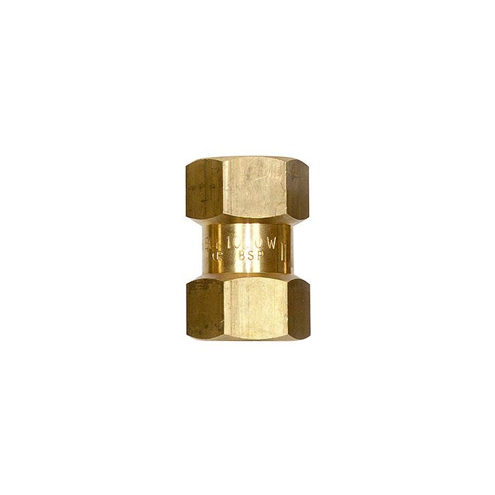 3/4 inch Single Check Valve